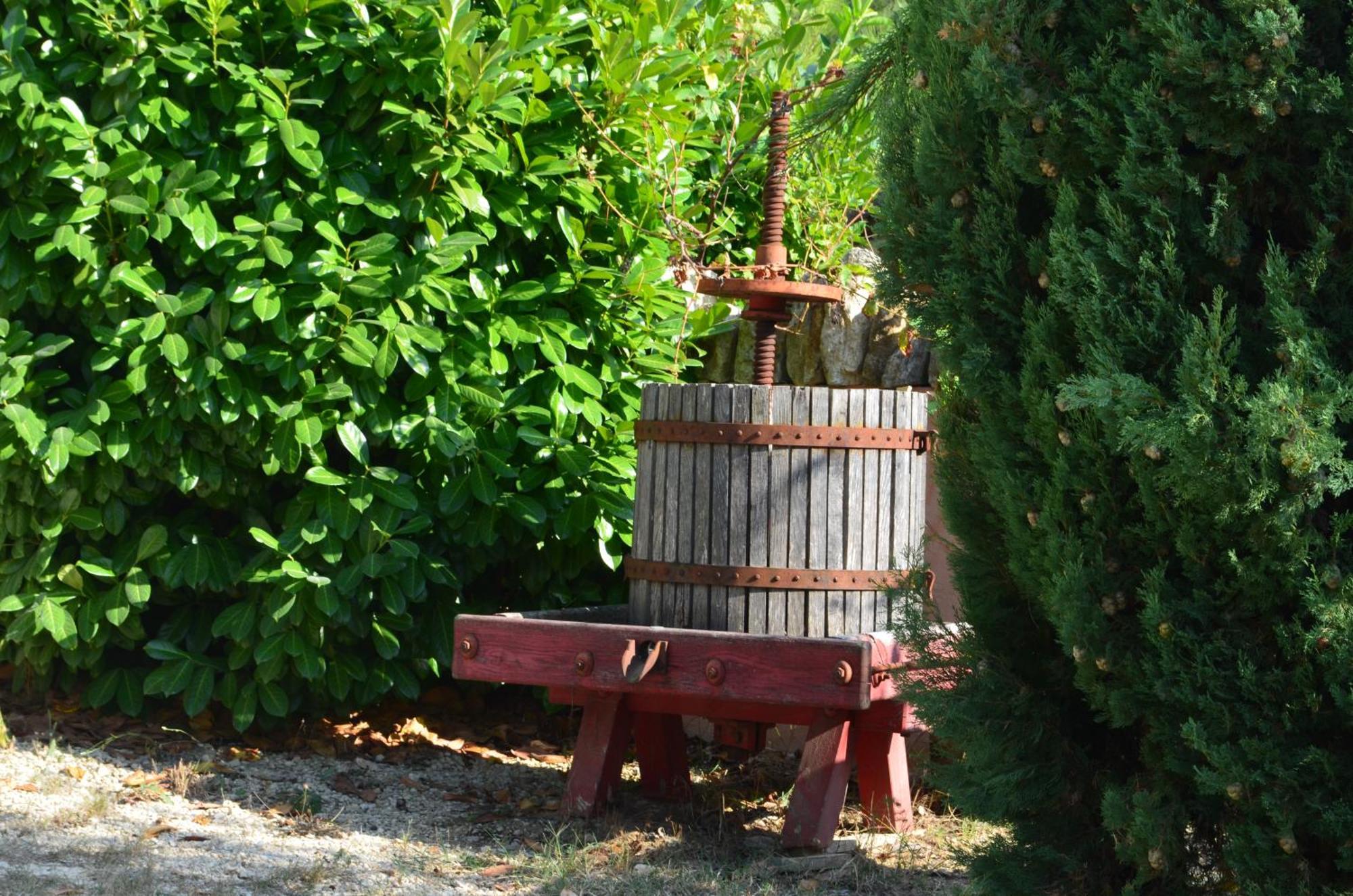 Studios Et Gite La Sauvasse Vagnas エクステリア 写真