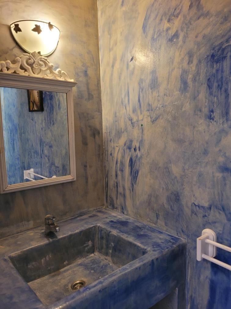 Studios Et Gite La Sauvasse Vagnas 部屋 写真