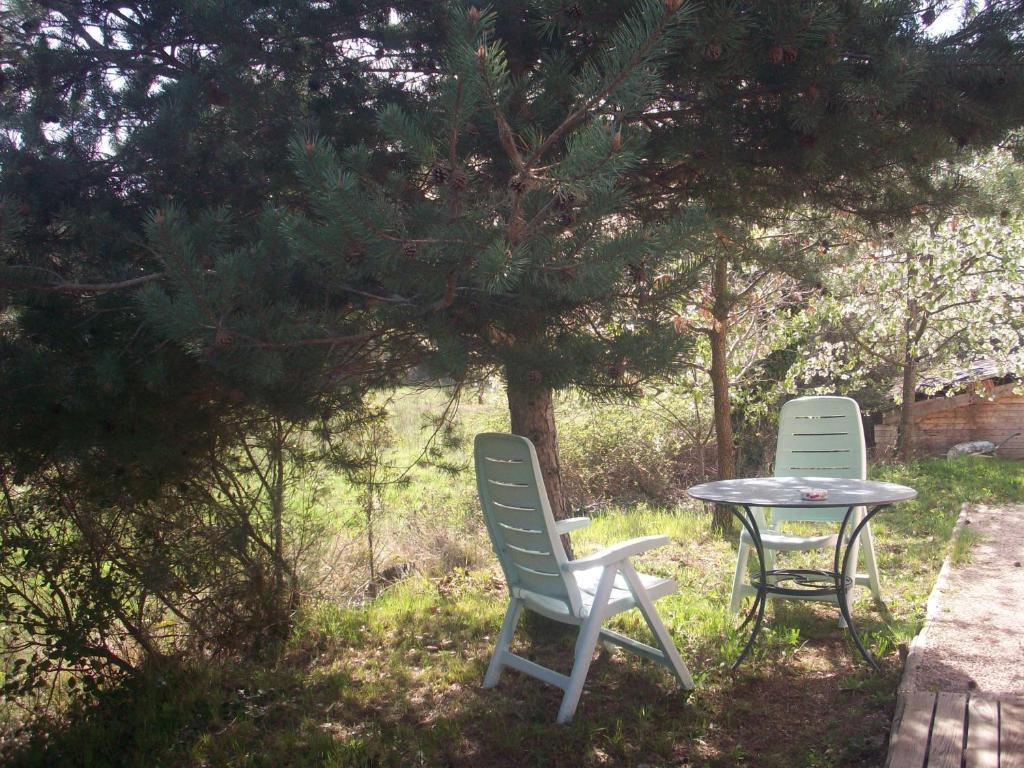 Studios Et Gite La Sauvasse Vagnas 部屋 写真